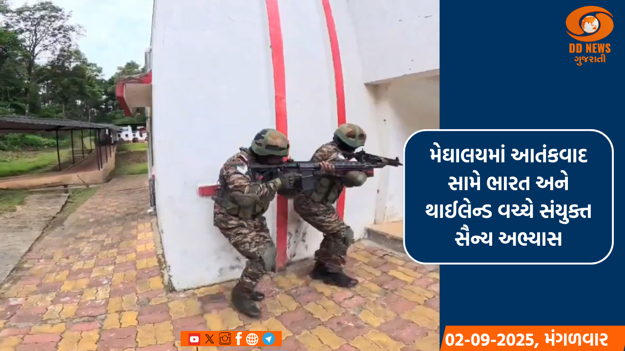 PM મોદીએ દેશમાં વાઘની નવીનતમ સંખ્યા જાહેર કરી, 'ઇન્ટરનેશનલ બિગ કેટ્સ એલાયન્સ' પણ શરૂ કરી