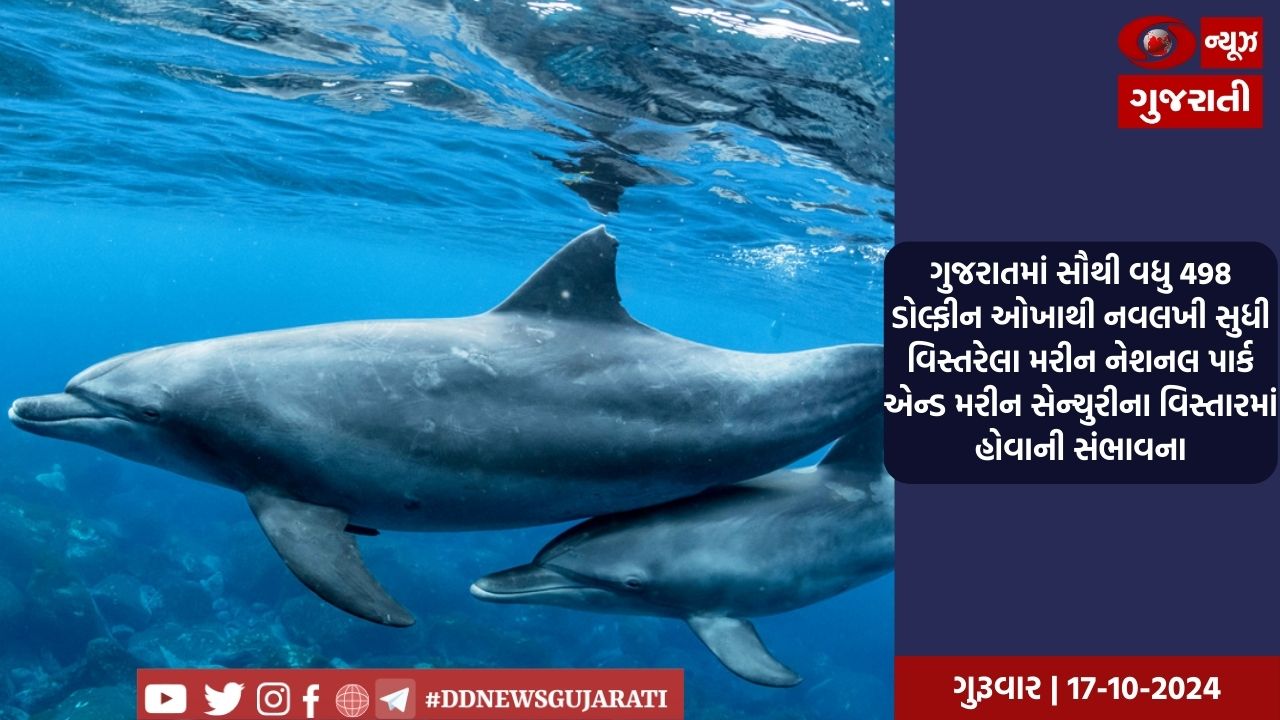 ગુજરાતના 13 યુવાનોએ લદાખમાં આવેલ ચાદર ટ્રેક સર કર્યુ