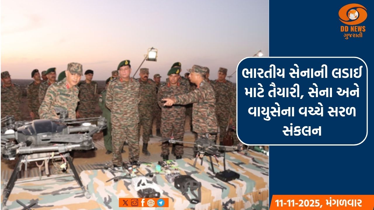 ભારતીય સેનાની લડાઈ માટે તૈયારી, સેના અને વાયુસેના વચ્ચે સરળ સંકલન