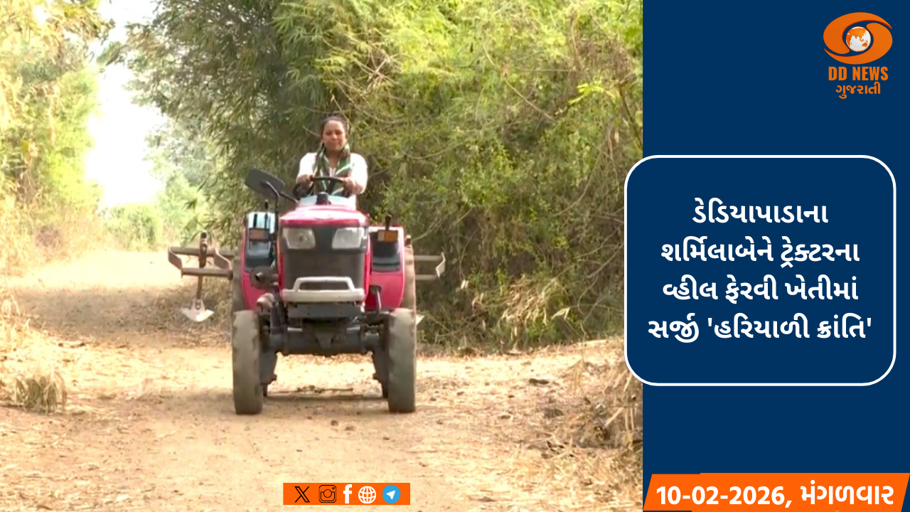 ડેડિયાપાડાના શર્મિલાબેને ટ્રેક્ટરના વ્હીલ ફેરવી ખેતીમાં સર્જી 'હરિયાળી ક્રાંતિ'