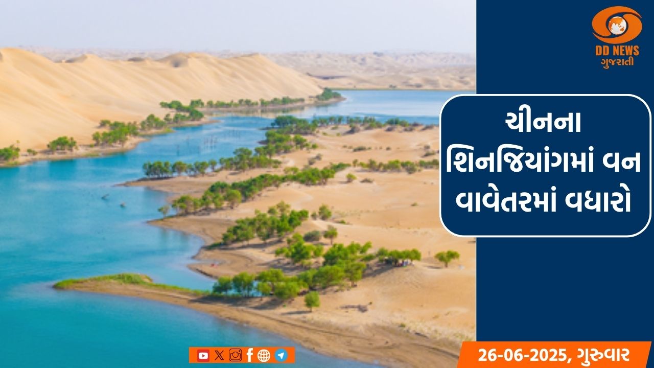ચીનના શિનજિયાંગમાં વન વાવેતરમાં વધારો