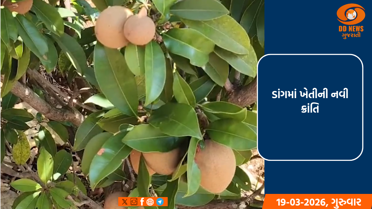 ડાંગમાં ખેતીની નવી ક્રાંતિ: યશવંતભાઈએ 'જંગલ ફાર્મ' મોડેલથી કેમિકલમુક્ત ખેતીનો રાહ ચીંધ્યો