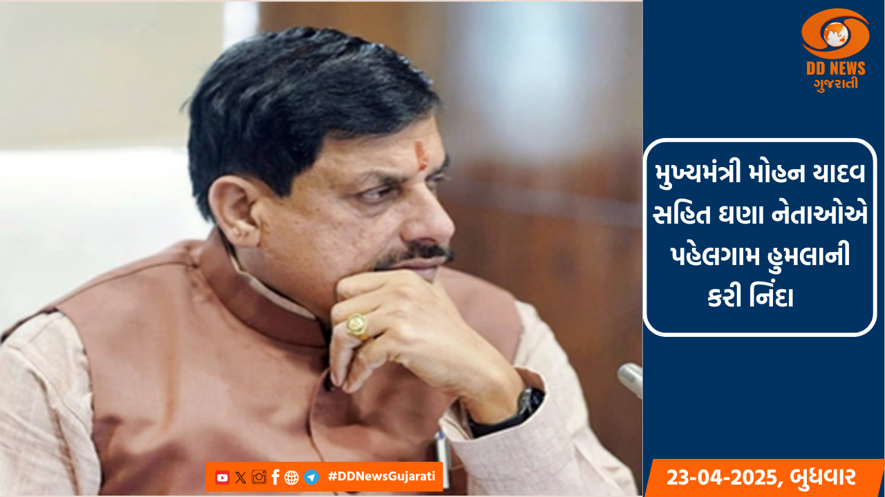 મહેસાણાના ડોક્ટરે પત્નીની યાદમાં 110 પ્રકારની આયુર્વેદિક ઔષધિનું કર્યુ વાવેતર 