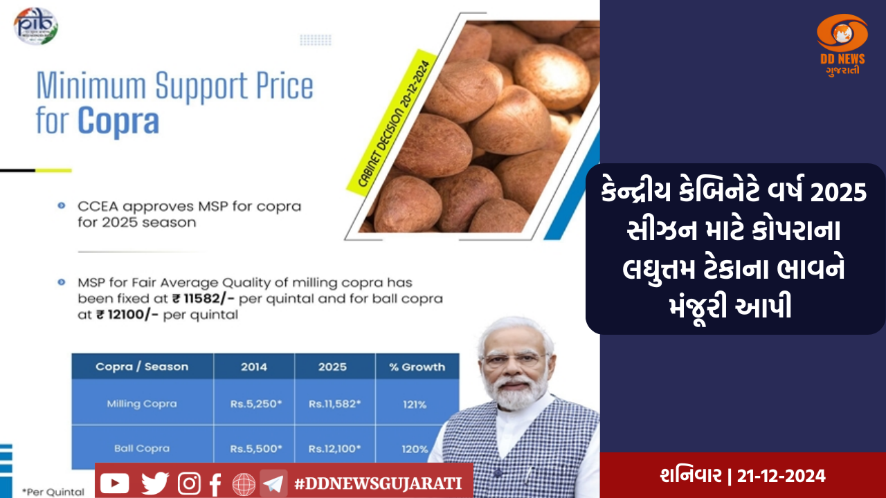 T-20 ક્રિકેટ વર્લ્ડ કપમાં આયરલેન્ડ સામે ભારતનો શાનદાર વિજય 