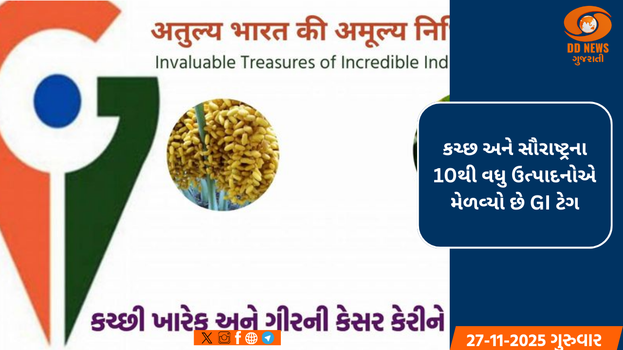 કચ્છ અને સૌરાષ્ટ્રના 10થી વધુ ઉત્પાદનોએ મેળવ્યો છે GI ટેગ