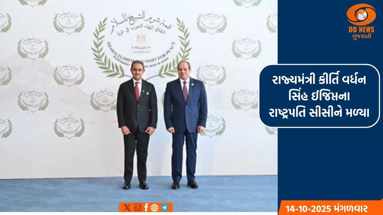 રાજ્યમંત્રી કીર્તિ વર્ધન સિંહ ઈજિપ્તના રાષ્ટ્રપતિ સીસીને મળ્યા