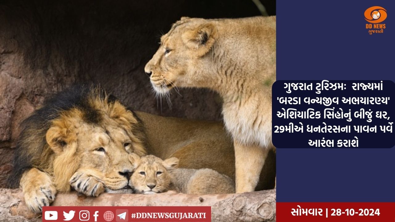 ગુજરાત ટુરિઝમઃ  રાજ્યમાં 'બરડા વન્યજીવ અભયારણ્ય' એશિયાટિક સિંહોનું બીજું ઘર, 29મીએ ધનતેરસના પાવન પર્વે આરંભ કરાશે