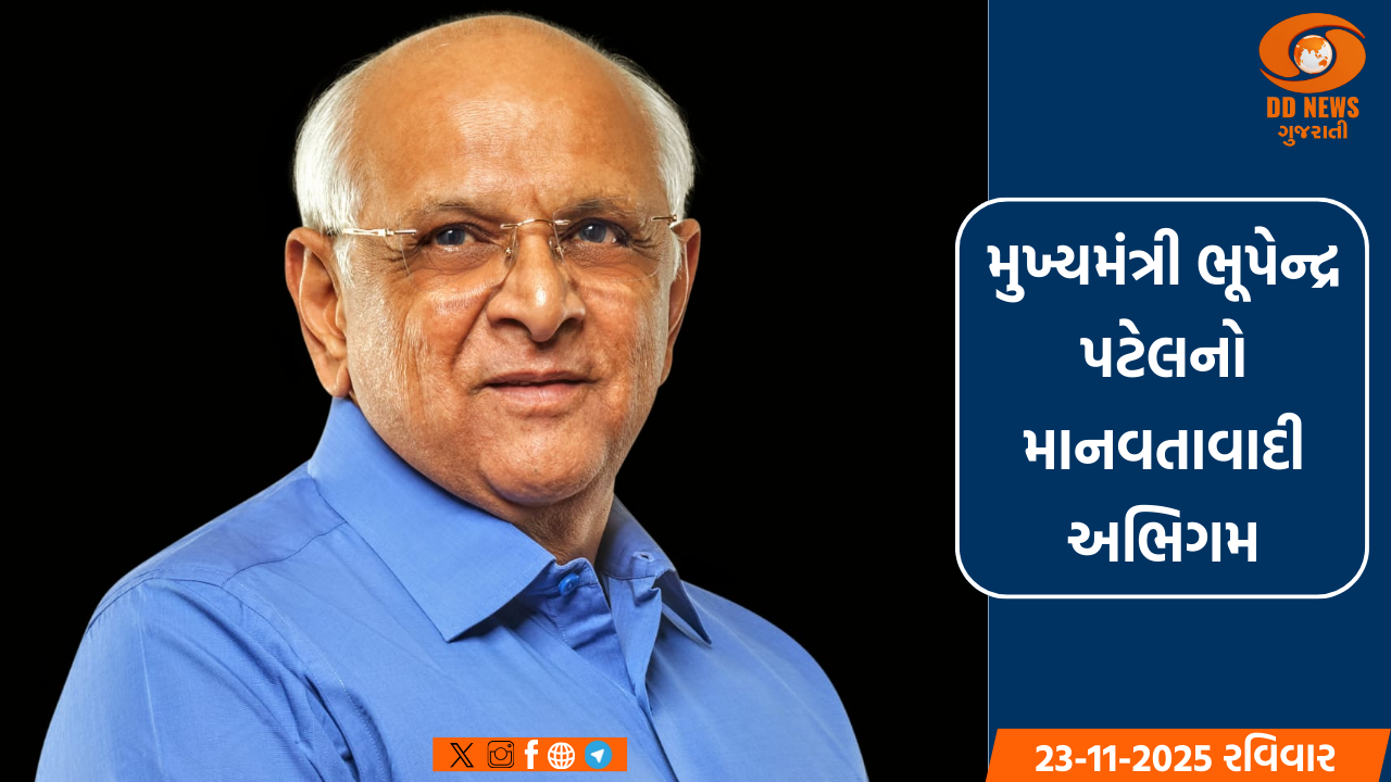 વન ડે વિશ્વકપ ક્રિકેટમાં દક્ષિણ આફ્રિકાએ 190 રનથી ન્યુઝીલેન્ડને હરાવ્યું