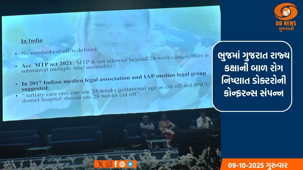 રાજ્યમાં વરસાદનું આગમન, સાપુતારા અને અમરેલીમાં પવન સાથે વરસાદ