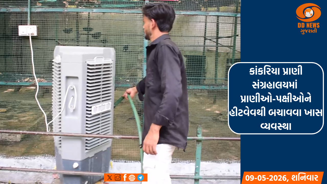 વેરાવળથી રૂ.300 કરોડનો ડ્રગ્સનો જથ્થો ઝડપાયો, ગીર સોમનાથ પોલીસને રૂ.10 લાખના ઇનામની જાહેરાત