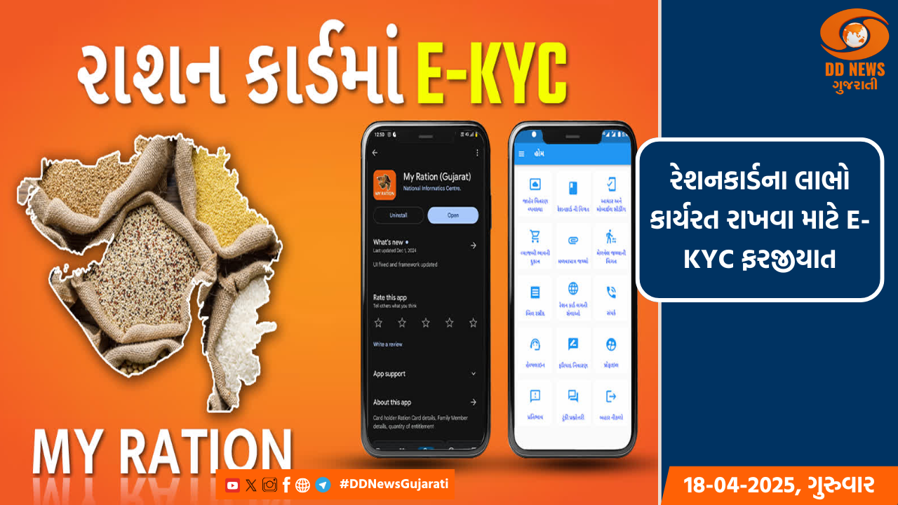અંગ દઝાડતા ઉનાળામાં વડોદરા જિલ્લાના ખેતર બન્યા હરિયાળા ટાપુ; ઉનાળુ પાકોનું થયું વાવેતર