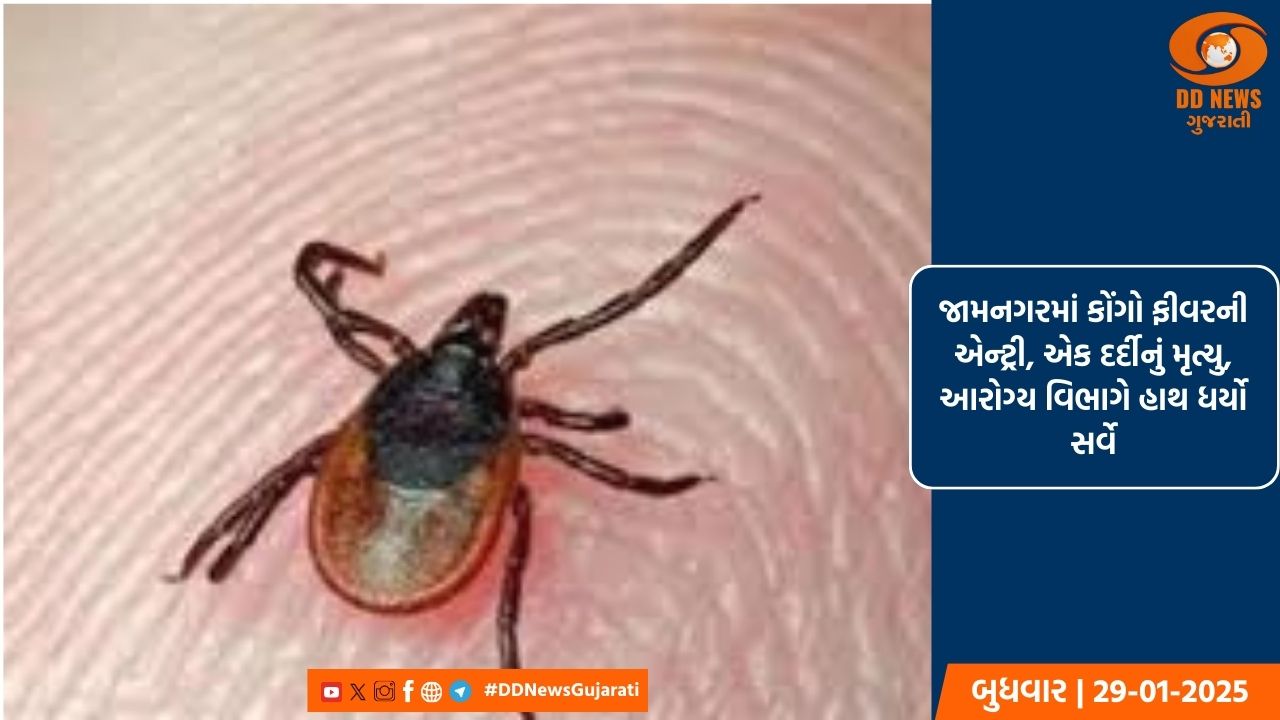 જામનગરમાં કોંગો ફીવરની એન્ટ્રી, એક દર્દીનું મૃત્યુ, આરોગ્ય વિભાગે હાથ ધર્યો સર્વે