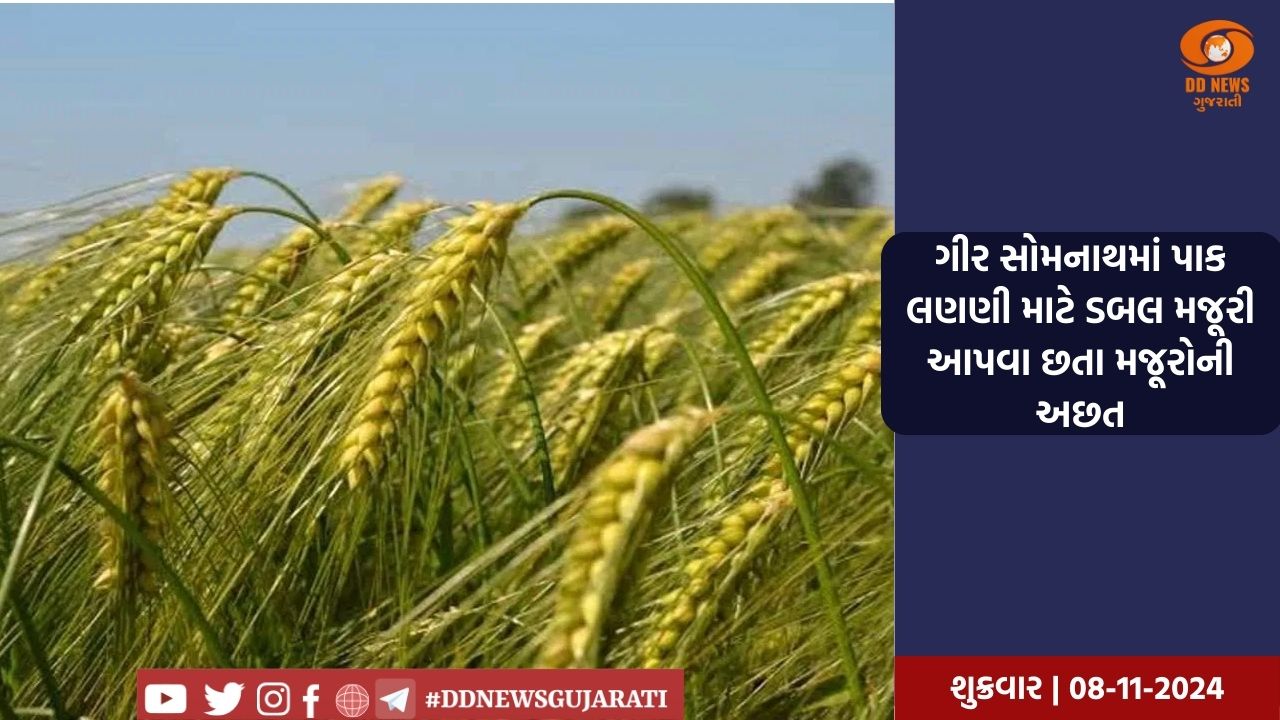   મુખ્યમંત્રી ઇઝરાયેલ પ્રવાસ પૂર્ણ કરી સ્વદેશ પાછા ફર્યા