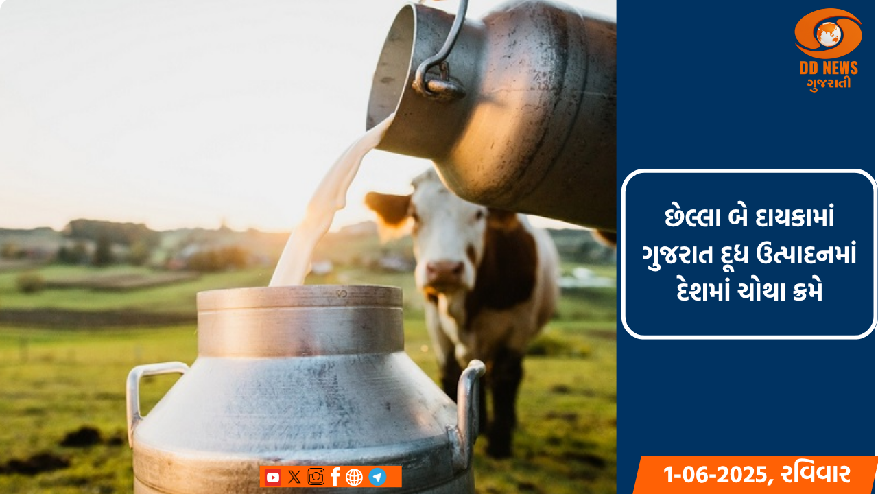 પંચાયત મંત્રીના હસ્તે ગામમાં 8 લાખના વિકાસ કામોનું કરાયું લોકાર્પણ