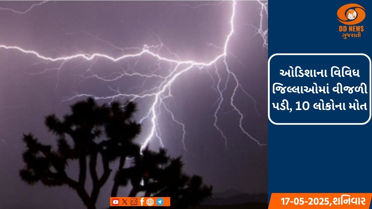 યુવાનોના કૌશલને કારણે સમગ્ર વિશ્વ ભારતને ઓળખે છે: કેન્દ્રિય નાણા મંત્રી