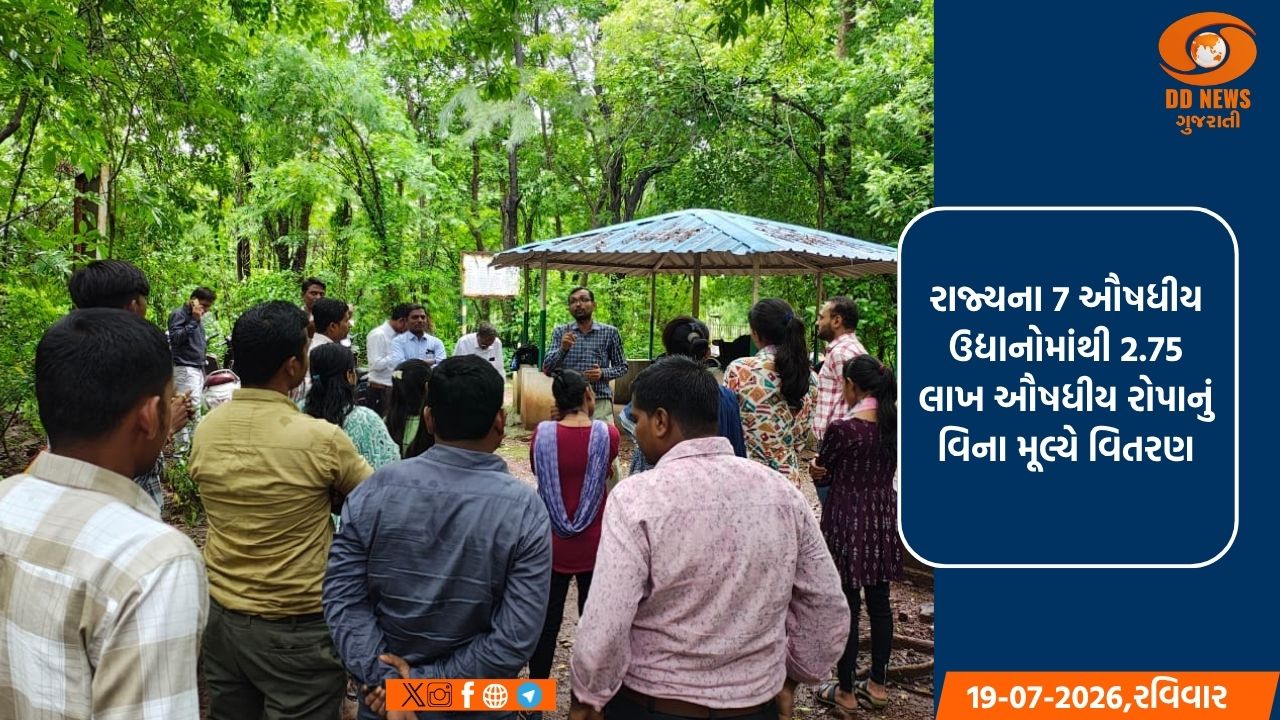 રાજ્યના 7 ઔષધીય ઉદ્યાનોમાંથી 2.75 લાખ ઔષધીય રોપાનું વિના મૂલ્યે વિતરણ