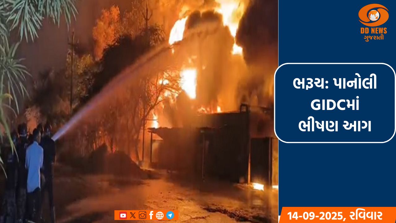 ભરૂચ: પાનોલી GIDCમાં ભીષણ આગ, સંઘવી ઓર્ગેનિક્સ કંપની આગની ઝપેટમાં, 10 થી વધુ ફાયર ફાઈટર ઘટનાસ્થળે