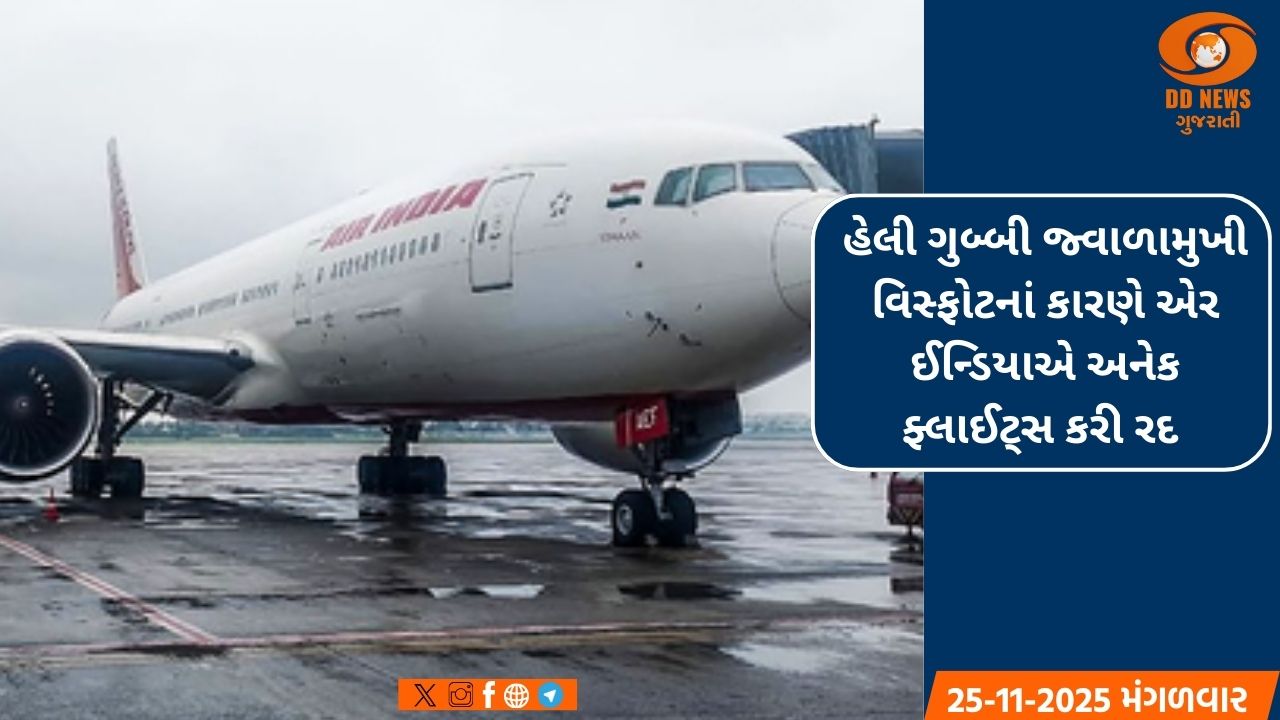 હેલી ગુબ્બી જ્વાળામુખી વિસ્ફોટનાં કારણે એર ઈન્ડિયાએ અનેક ફ્લાઈટ્સ કરી રદ 