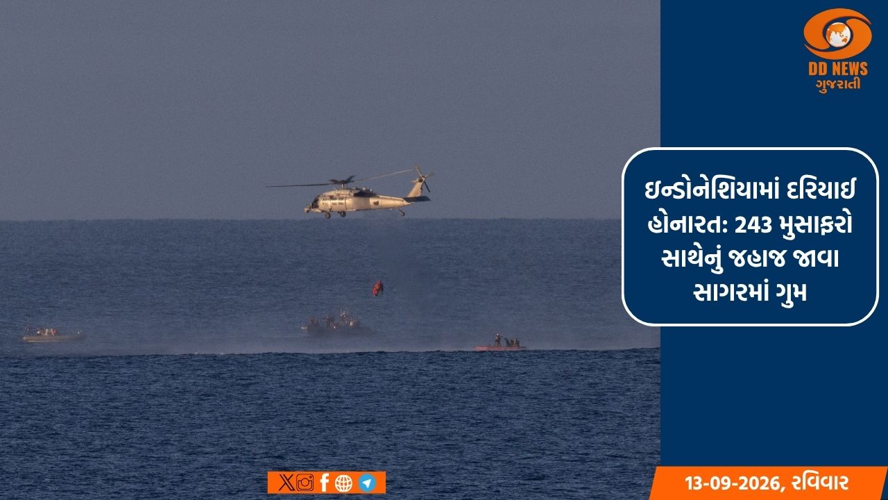 ઇન્ડોનેશિયામાં દરિયાઈ હોનારત: 243 મુસાફરો સાથેનું જહાજ જાવા સાગરમાં ગુમ