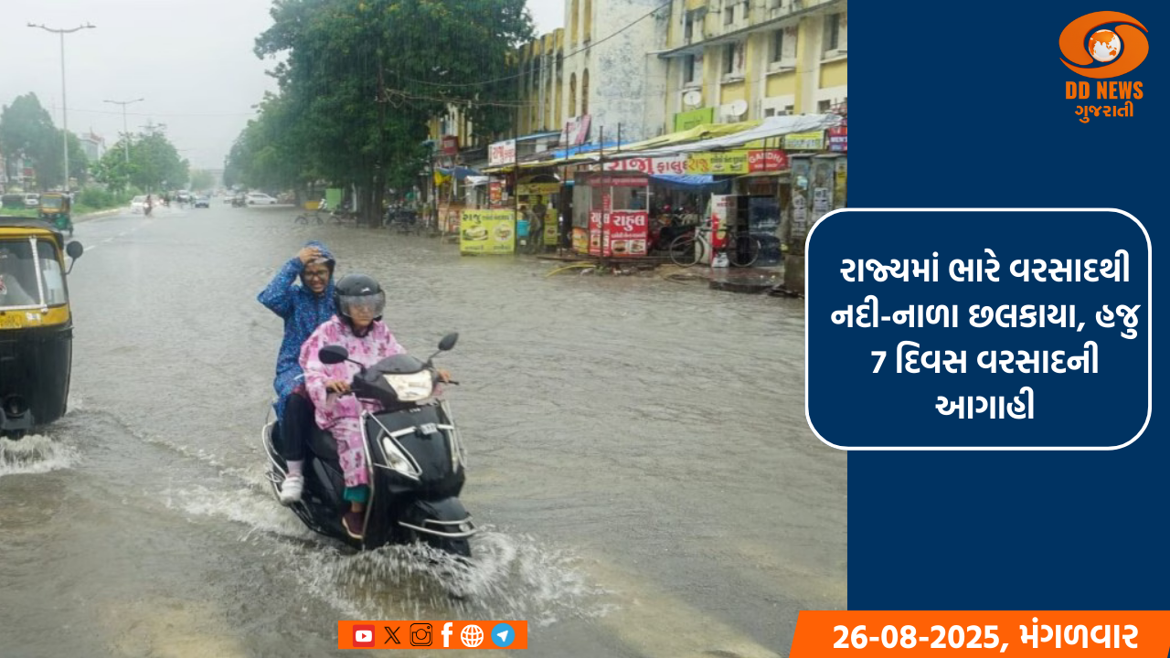 રાજ્યમાં ભારે વરસાદથી નદી-નાળા છલકાયા, હજુ 7 દિવસ વરસાદની આગાહી