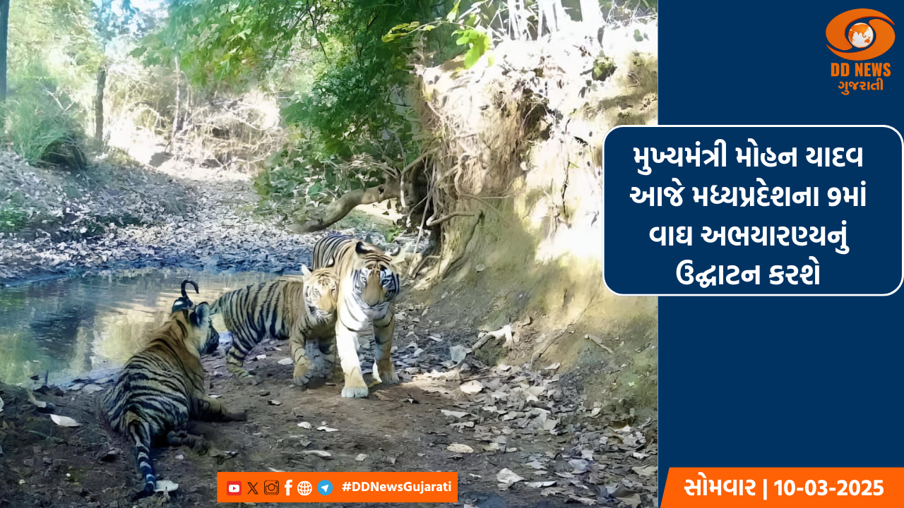 મુખ્યમંત્રી મોહન યાદવ આજે મધ્યપ્રદેશના 9માં વાઘ અભયારણ્યનું ઉદ્ઘાટન કરશે