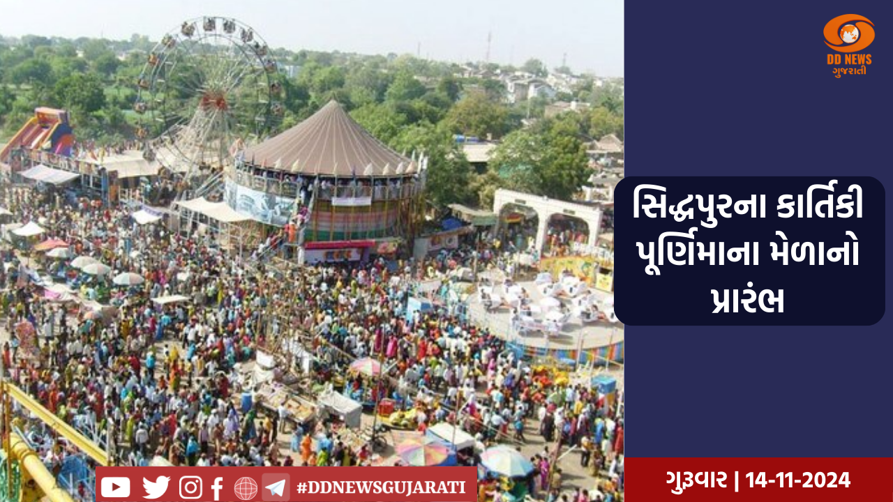 તૂર્કીમાં અમેરિકા, જર્મની અને ફ્રાન્સ સહિત 10 દેશોના રાજદૂતોને બરતરફ કરવાના આદેશ કરાયા