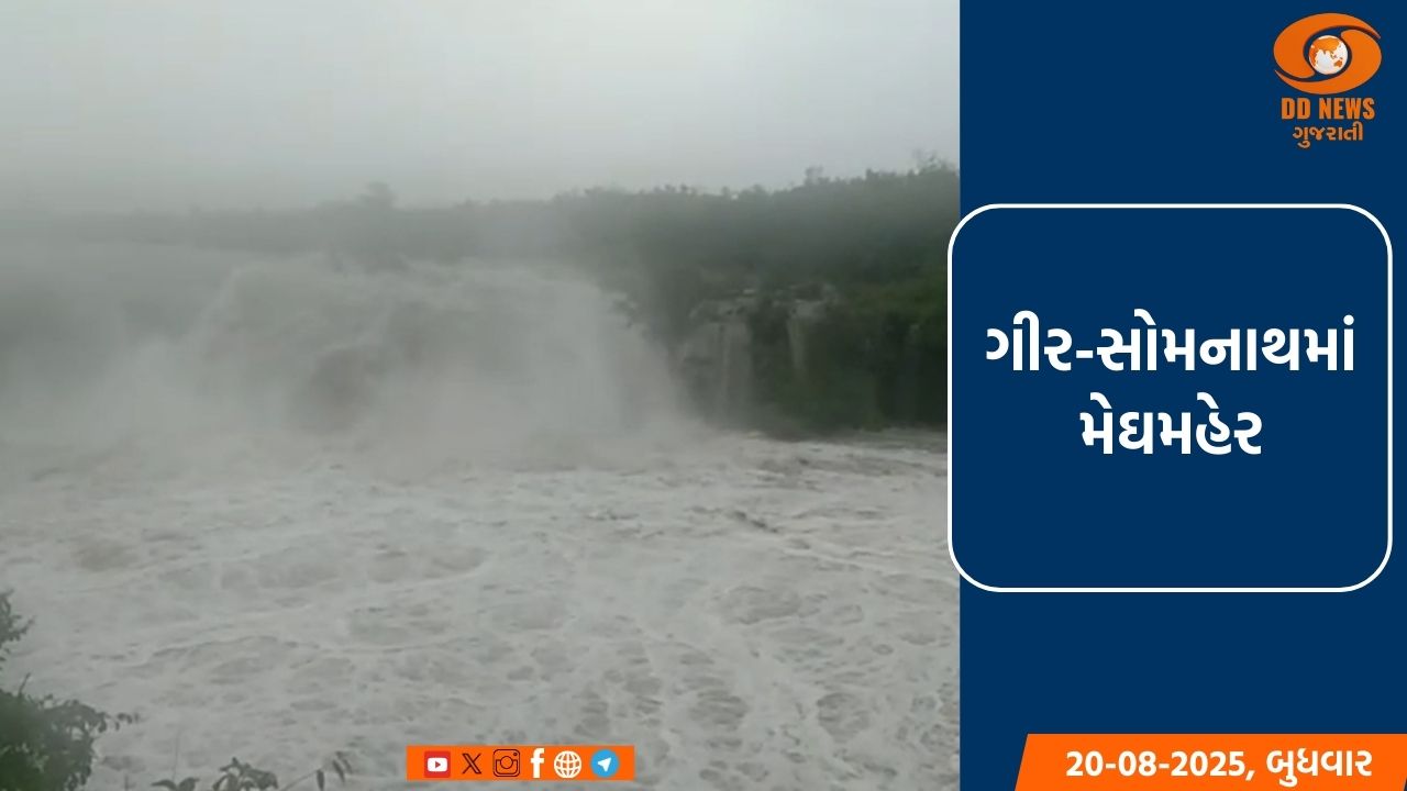 ગીર-સોમનાથમાં મેઘમહેર: તાલાલામાં 5 ઇંચથી વધુ વરસાદ, અનેક ગામો એલર્ટ પર
