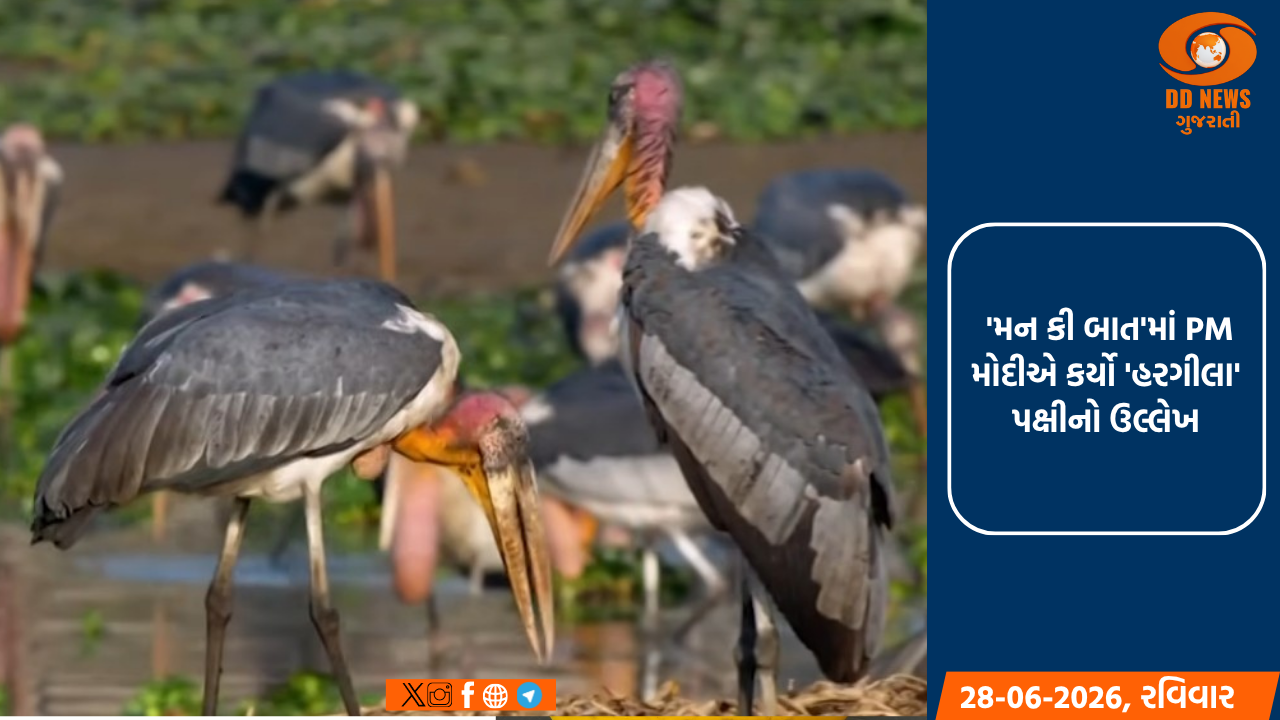 વરસાદી પાણીનો બચાવ કરવા સરકાર સંકલ્પબદ્ધ, સુજલામ સુફલામ્ યોજના હેઠળ તળાવો ઊંડા કરાયા
