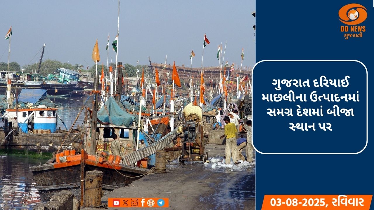 ગુજરાત દરિયાઈ માછલીના ઉત્પાદનમાં સમગ્ર દેશમાં બીજા સ્થાન પર