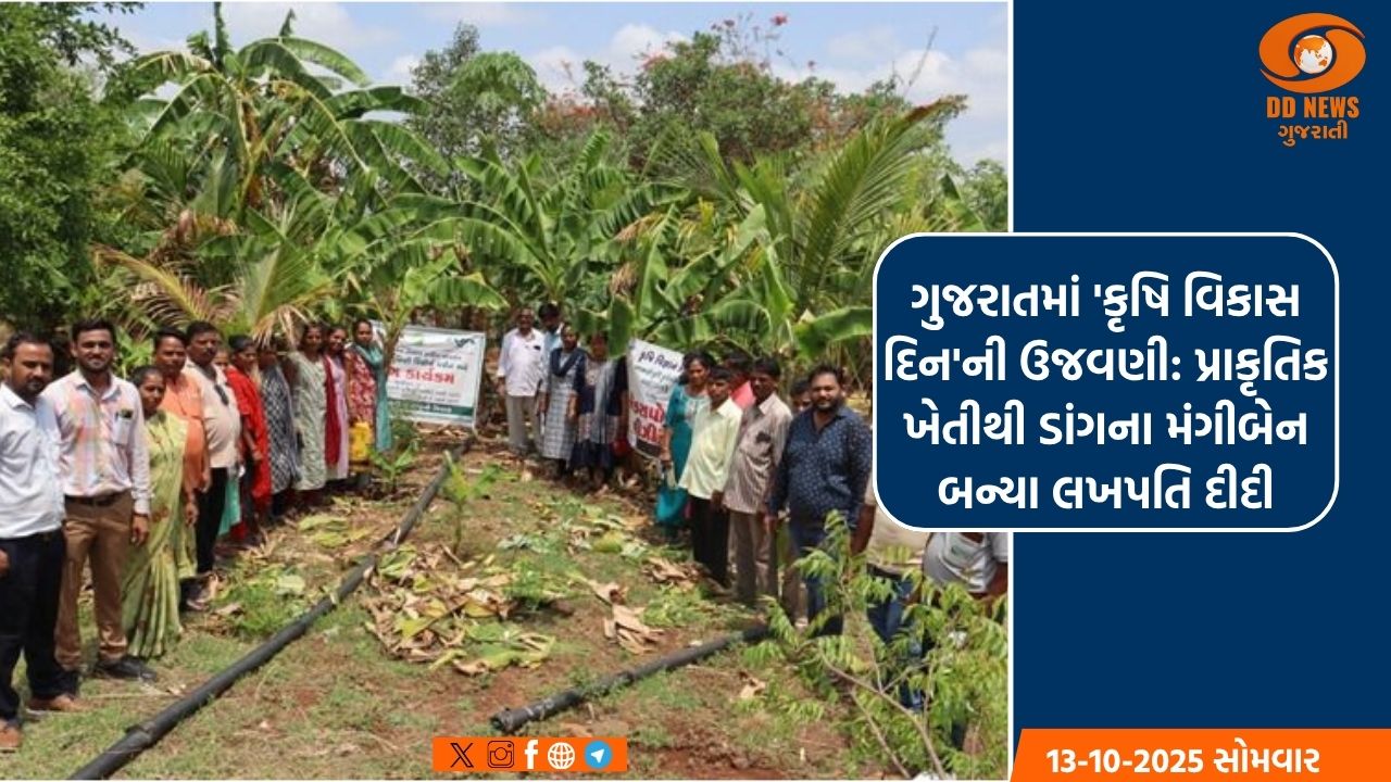 ગુજરાતમાં 'કૃષિ વિકાસ દિન'ની ઉજવણી: ડાંગના મંગીબેન પ્રાકૃતિક ખેતીથી બન્યા લખપતિ દીદી, શ્રીઅન્નના મૂલ્યવર્ધિત ઉત્પાદનો બનાવી આપી નવી દિશા 