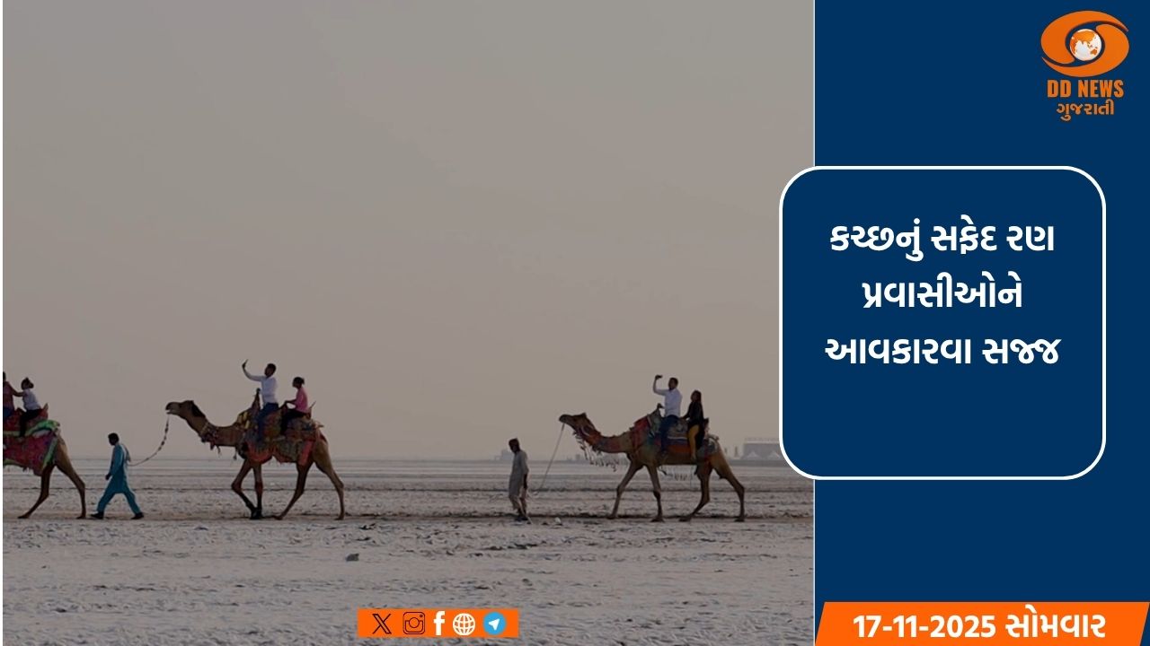 કચ્છનું સફેદ રણ પ્રવાસીઓને આવકારવા સજ્જ: રણ ઉત્સવ 2025-26 ની તૈયારીઓ પૂરજોશમાં