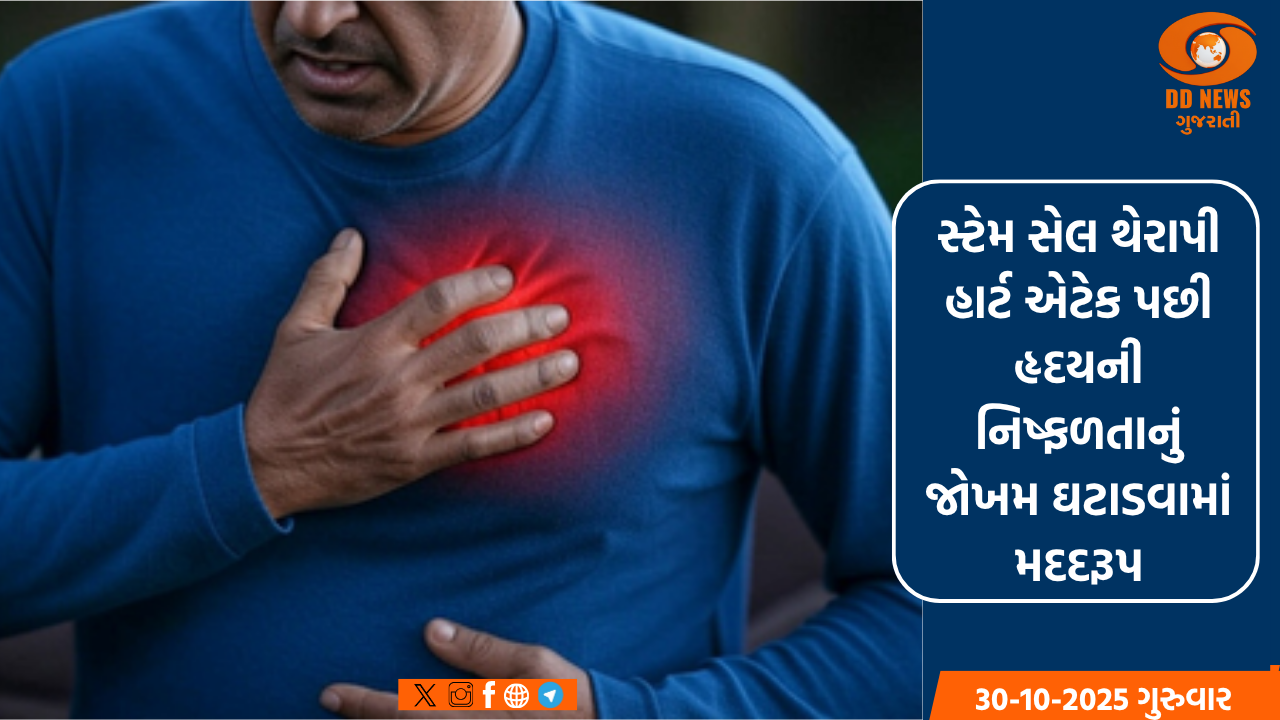 પોરબંદરની આવાસ યોજનામાં 237 લાભાર્થીઓને એલોટમેન્ટ લેટર આપી ફ્લેટ ફાળવવામાં આવ્યા