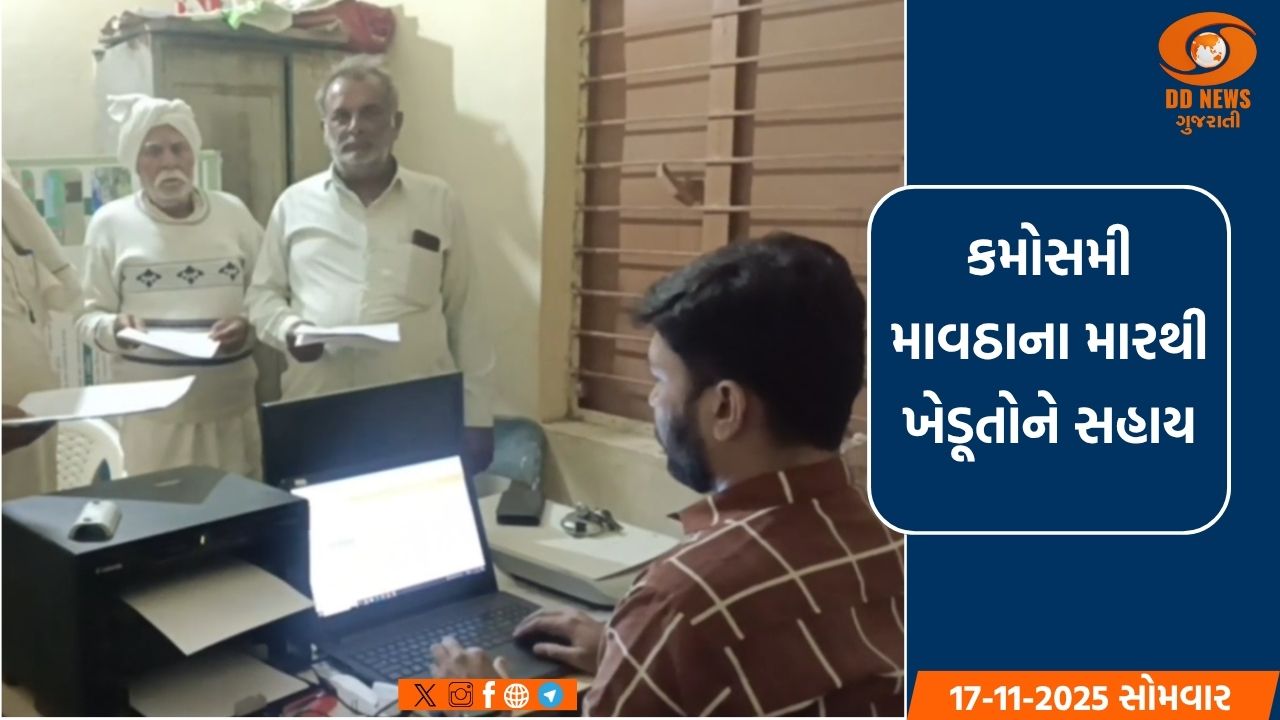કમોસમી માવઠાના મારથી ખેડૂતોને સહાય: અમરેલીના ભેંકરા ગામે રાત્રે પણ ફોર્મ ભરવાની કામગીરી ચાલુ