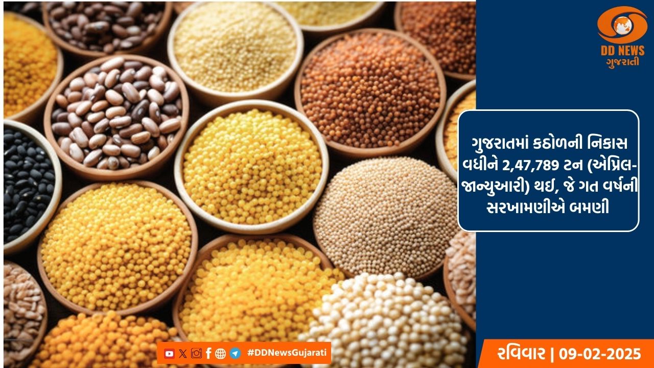 10 ફેબ્રુઆરીએ ઉજવાશે વિશ્વ કઠોળ દિવસ