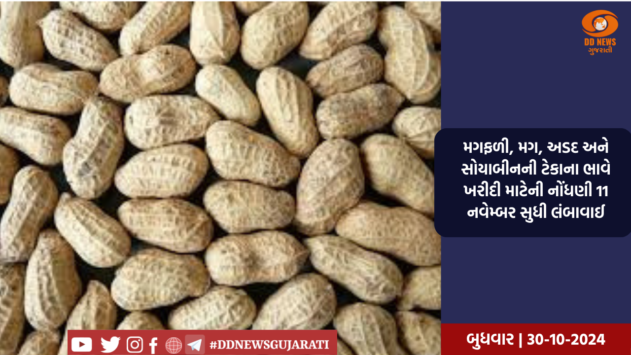 મગફળી, મગ, અડદ અને સોયાબીનની ટેકાના ભાવે ખરીદી માટેની નોંધણી 11 નવેમ્બર સુધી લંબાવાઈ