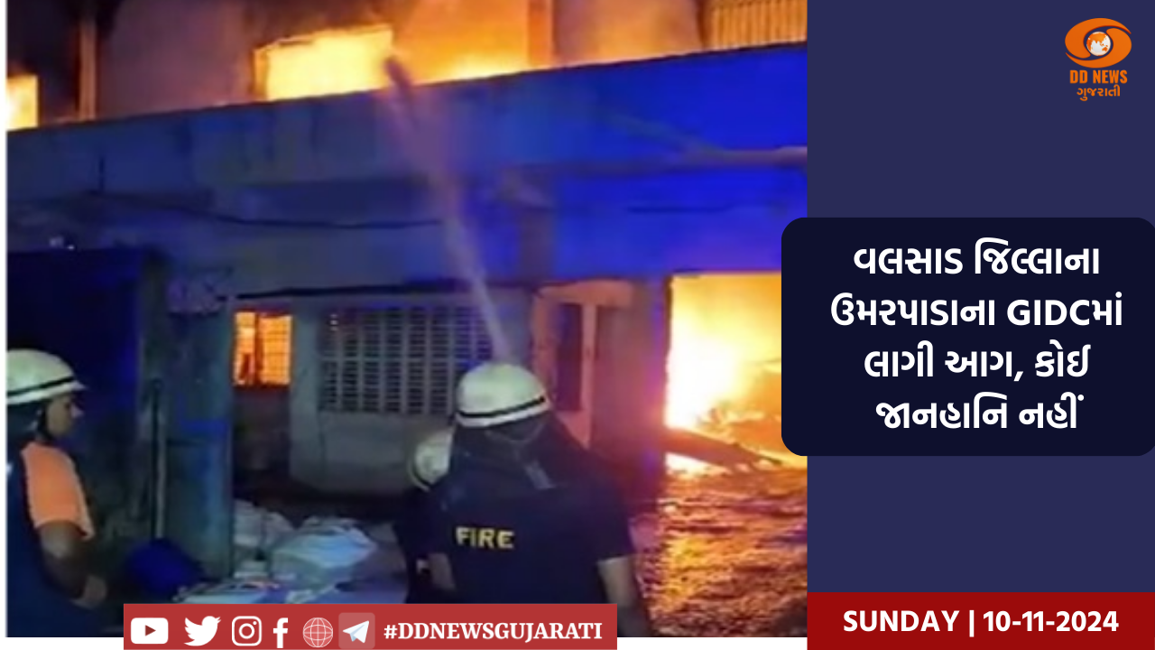 વલસાડ જિલ્લાના ઉમરપાડાના GIDCમાં લાગી આગ, કોઈ જાનહાનિ નહીં