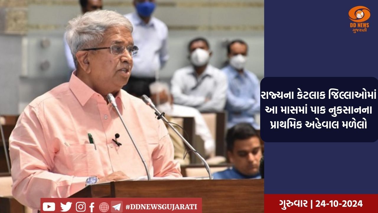 ઑક્ટોબર માસમાં કમોસમી વરસાદથી પાકને થયેલા નુકસાનની ખેડૂતોને સરકાર કરશે સહાય 