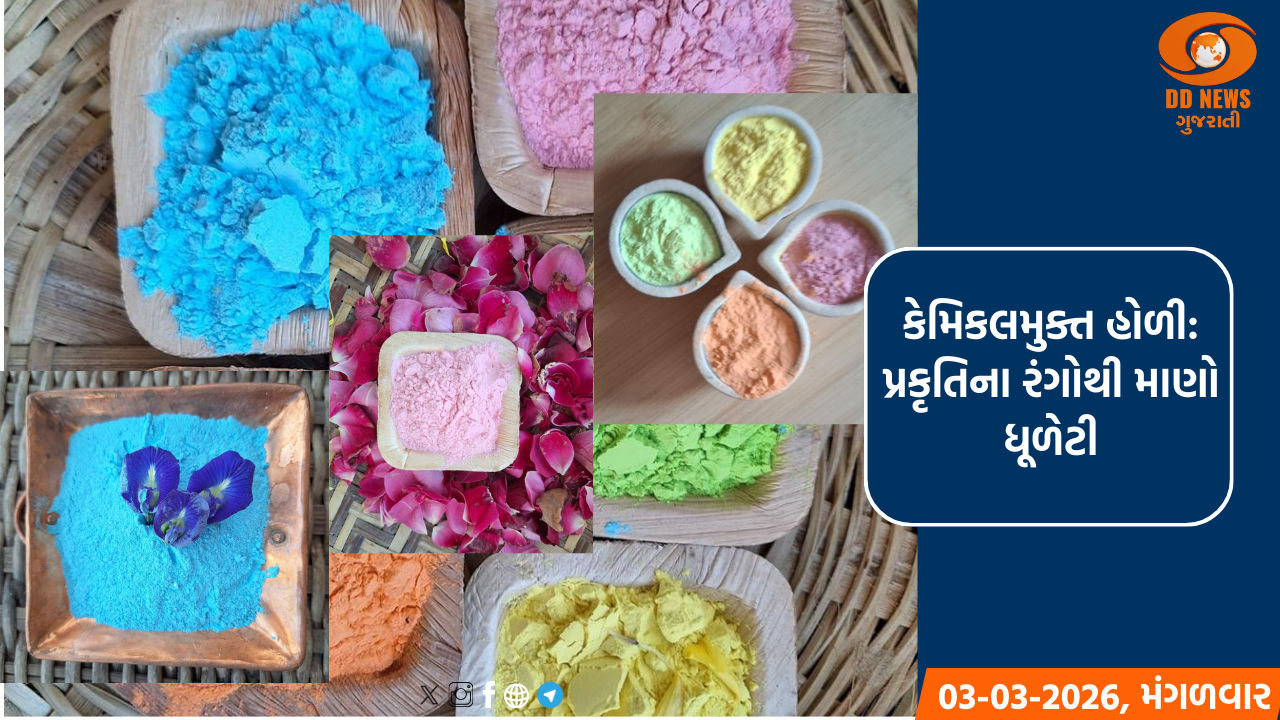  કેમિકલમુક્ત હોળી: અમદાવાદની મહિલાઓએ 'કુદરતી ગુલાલ' દ્વારા સર્જી અનોખી ક્રાંતિ