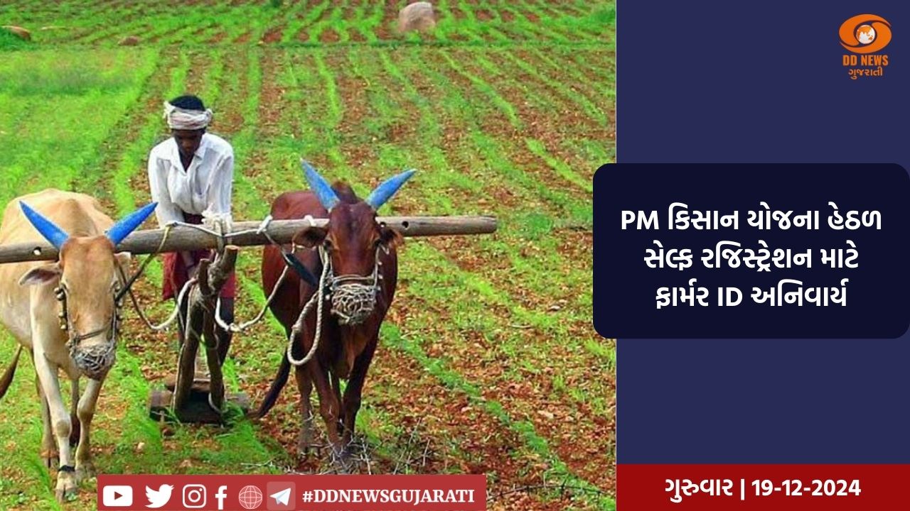 PM કિસાન યોજના હેઠળ સેલ્ફ રજિસ્ટ્રેશન માટે ફાર્મર ID અનિવાર્ય