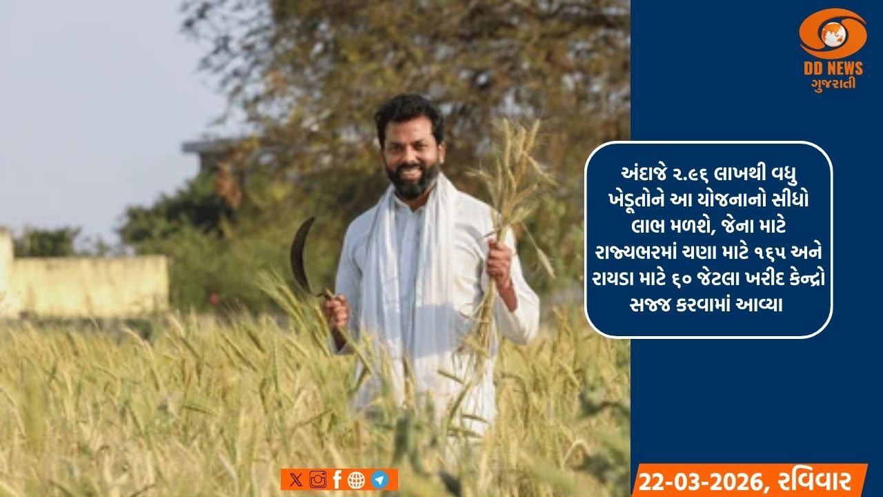 રાજ્યભરમાં ૨૩ માર્ચ, ૨૦૨૬થી  ચણા અને રાયડાની ટેકાના ભાવે ખરીદી પ્રક્રિયા શરૂ થશે