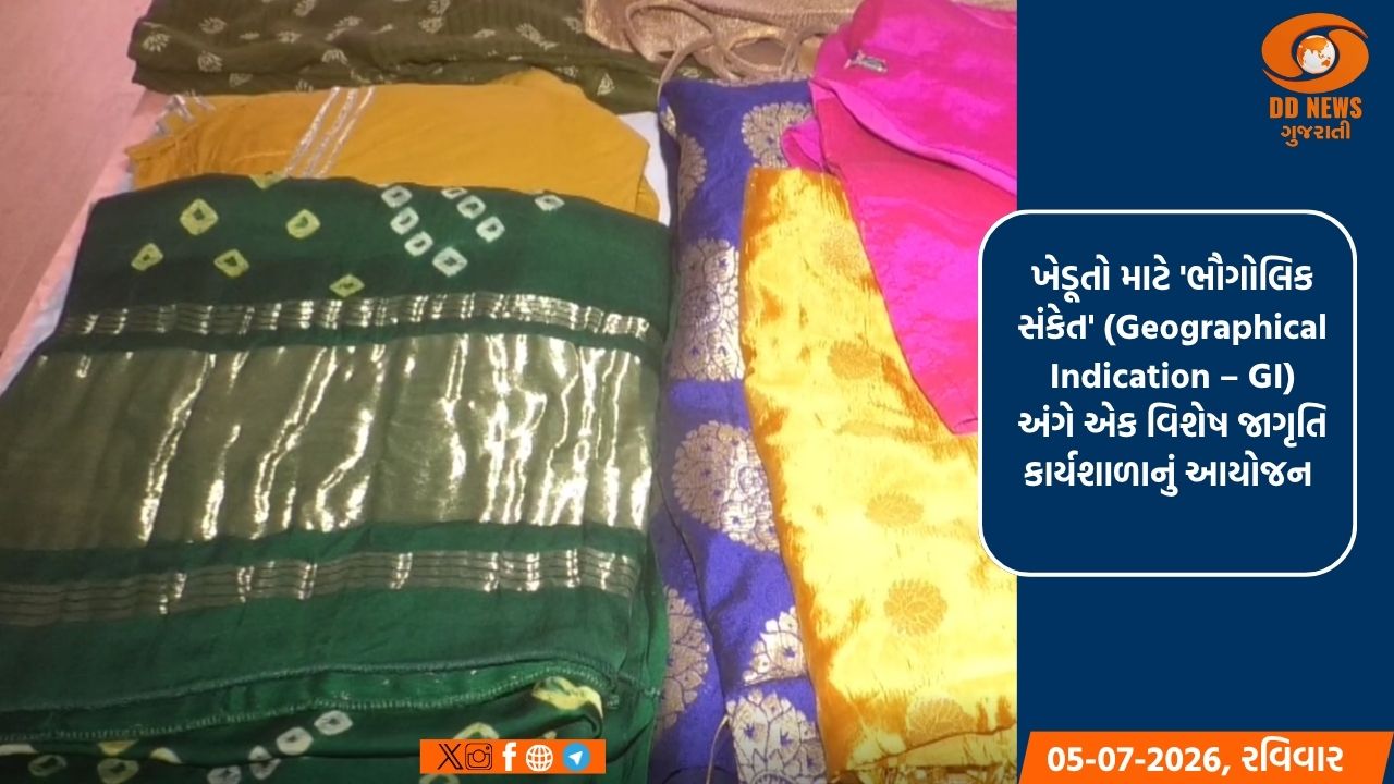 વઢવાણ: હસ્તકલા અને ખેડૂતો માટે 'GI ટેગ' અંગે જાગૃતિ કાર્યશાળાનું આયોજન
