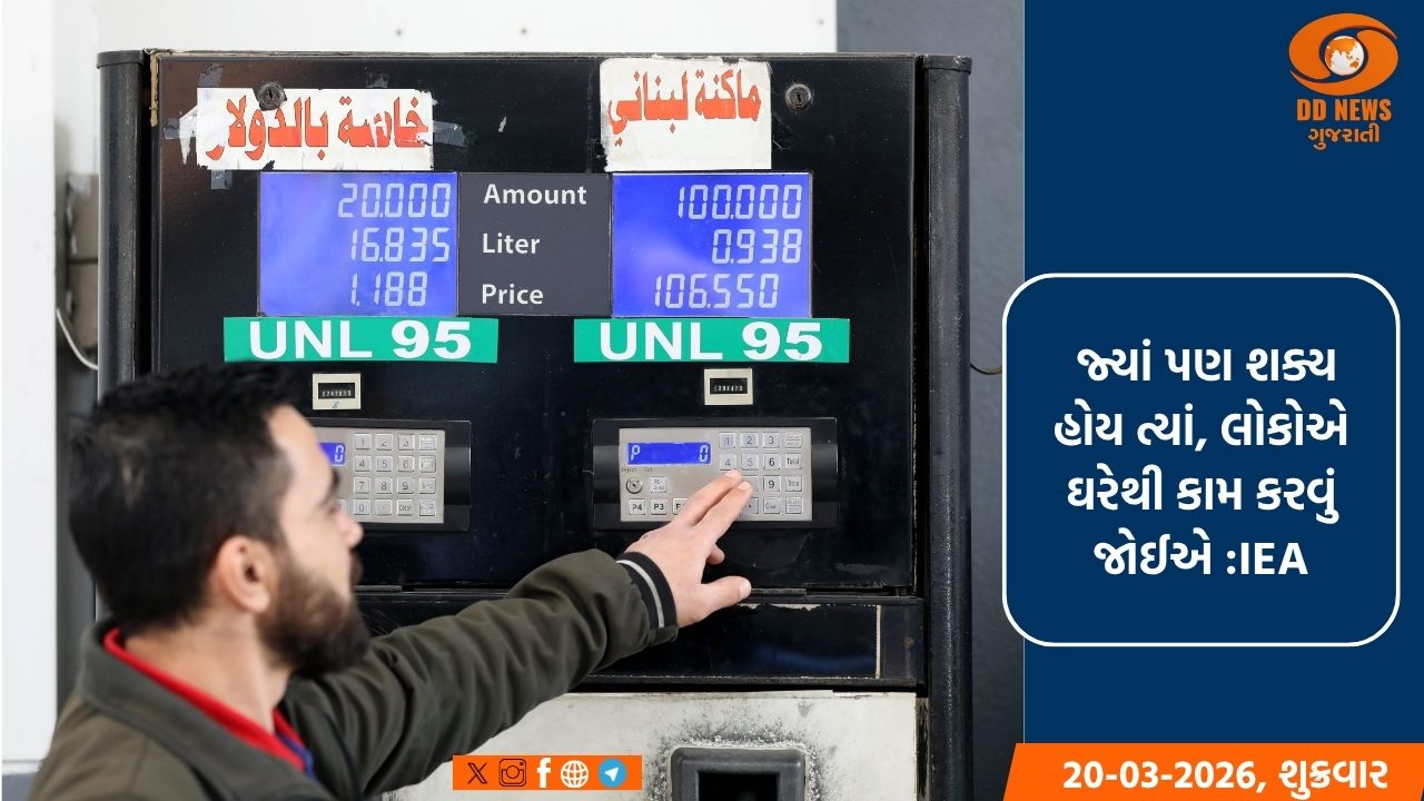 IEA ઊર્જા કટોકટીની અસર ઘટાડવા સલાહ આપે છે: ઘરેથી કામ કરવાની, હવાઈ મુસાફરી ટાળવાની અને વધુ