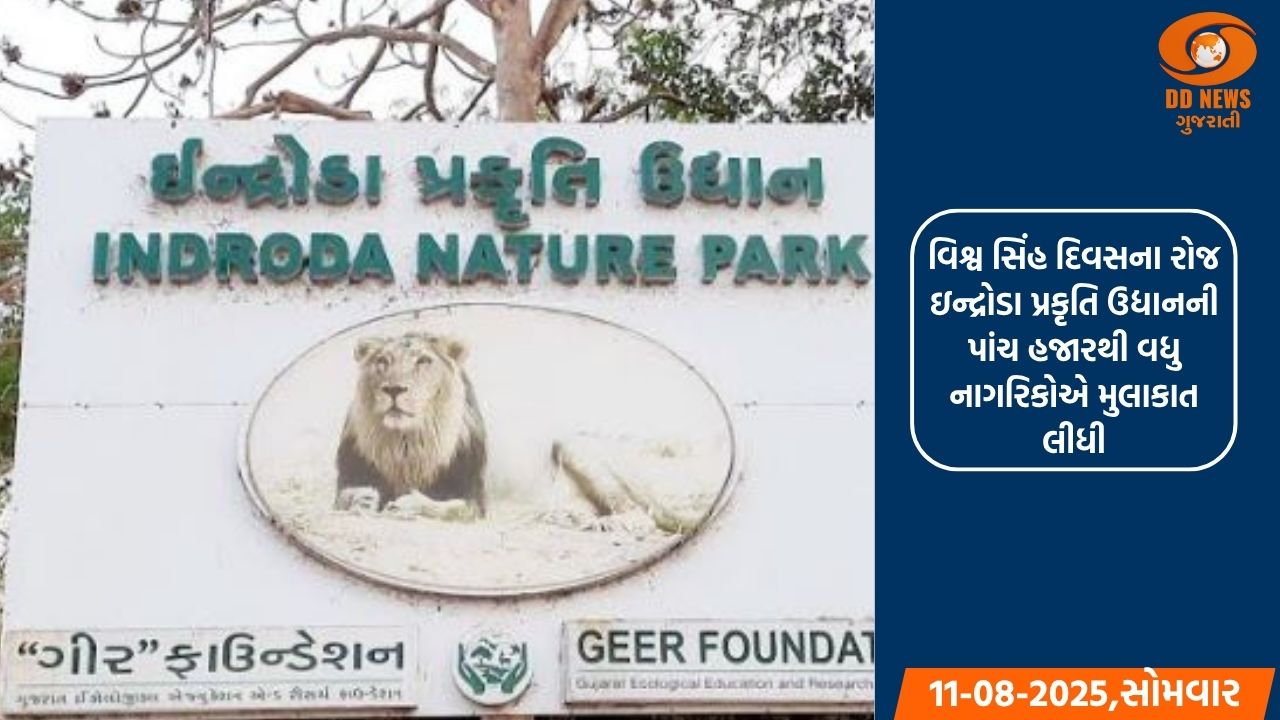 વિશ્વ સિંહ દિવસના રોજ ઇન્દ્રોડા પ્રકૃતિ ઉદ્યાનની પાંચ હજારથી વધુ નાગરિકોએ મુલાકાત લીધી