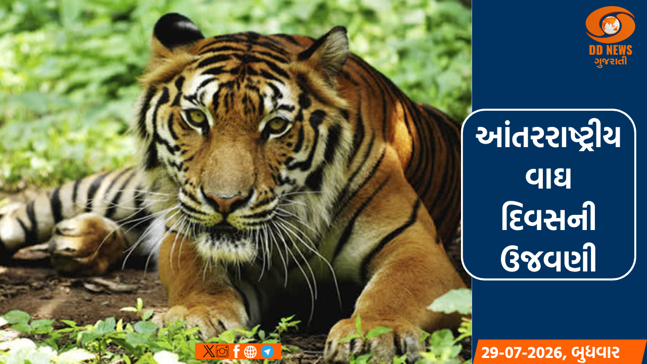 વડોદરામાં વન કર્મચારીના કાર્યક્રમમાં વાઘના સંરક્ષણ અને કોરિડોર મુદ્દે મંથન કરાયું