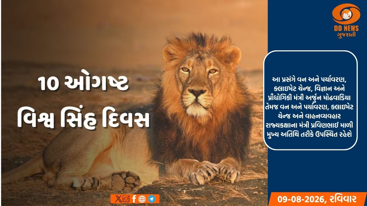 પોરબંદરમાં રાજયકક્ષાના વિશ્વ સિંહ દિવસની ઉજવણી કરાશે