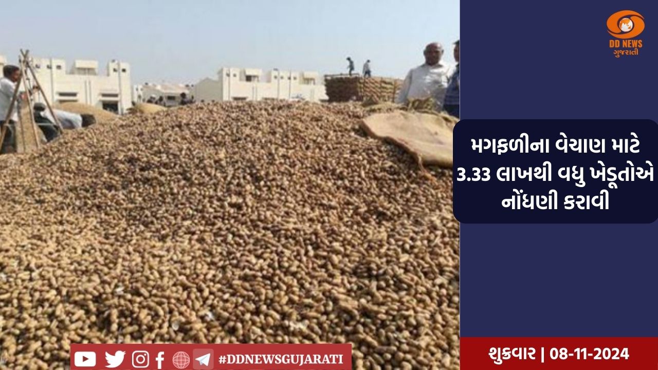 11 નવેમ્બરથી ટેકાના ભાવે મગફળીની ખરીદી શરૂ થશે