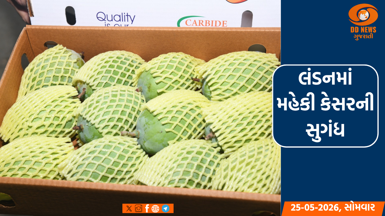 લંડન હીથ્રો એરપોર્ટ કેસરની સુગંધથી મહેક્યું, સાત સમંદર પાર કેસરનો દબદબો