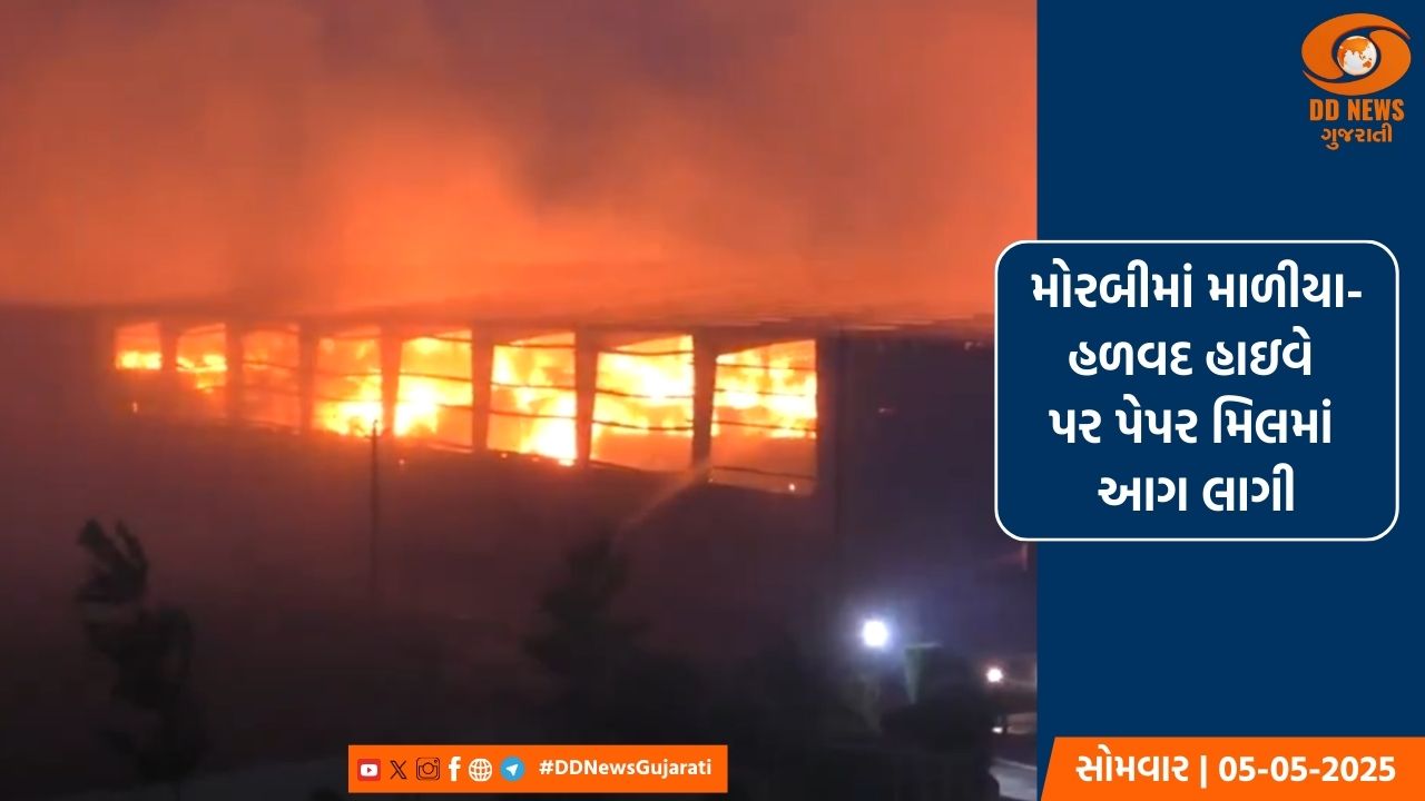 મોરબીમાં માળીયા-હળવદ હાઇવે પર પેપર મિલમાં આગ, 20 હજાર ટન માલ ભસ્મીભૂત
