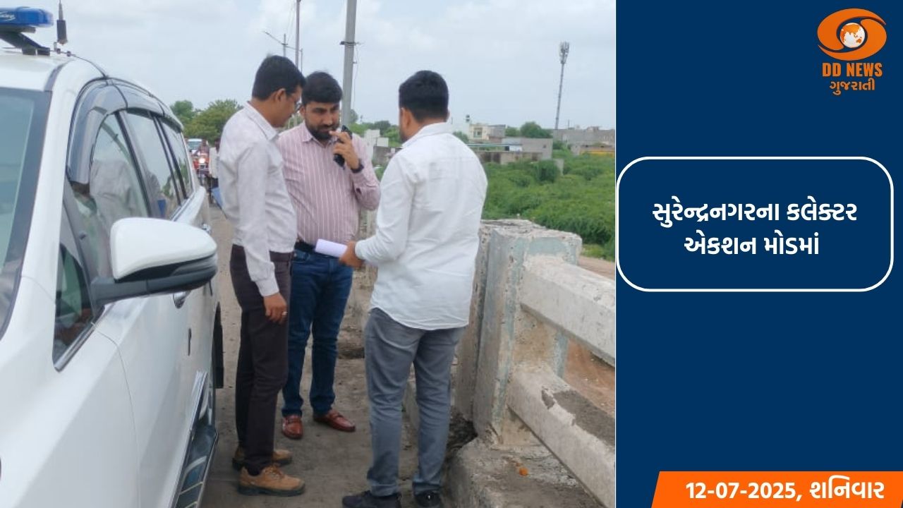 સુરેન્દ્રનગરના કલેક્ટર એકશન મોડમાં,શહેરના બ્રિજની કરી જાત તપાસ 