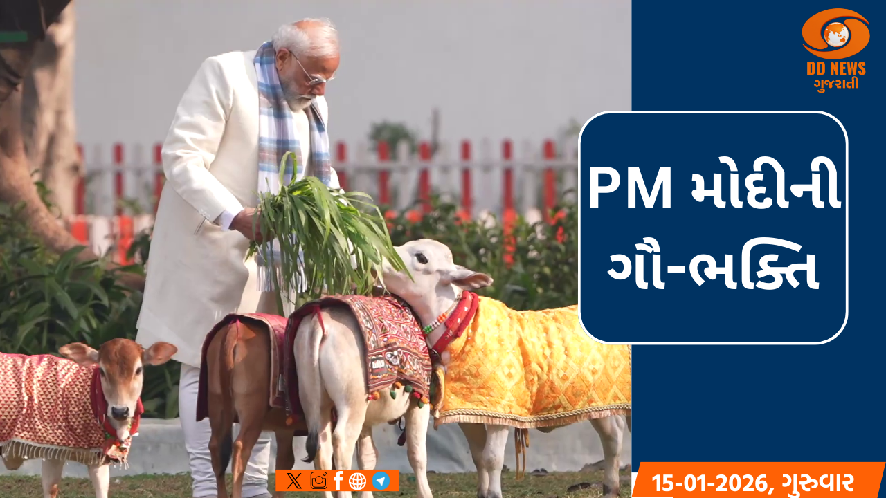 PM મોદીએ મકરસંક્રાંતિ પર ગૌસેવા કરી નાગરિકોને આપ્યો પશુ પ્રેમનો સંદેશ